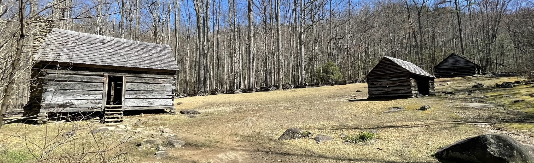 Grapeyard Ridge Trail, Tennessee - 91 Reviews, Map | AllTrails