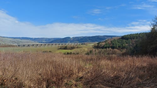 Von Kirsch zum Longuicher Wald