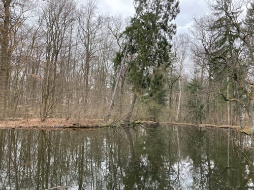 EifelBahnSteig Etappe 1: Euskirchen - Satzvey