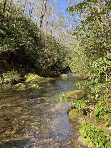 2023 Best 10 Trails in Wilson Creek Wild and Scenic River Area | AllTrails