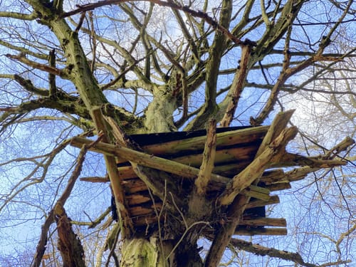 48