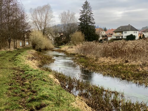 Felsenland Sagenweg Etappe 5: Fischbach - Bärenbach