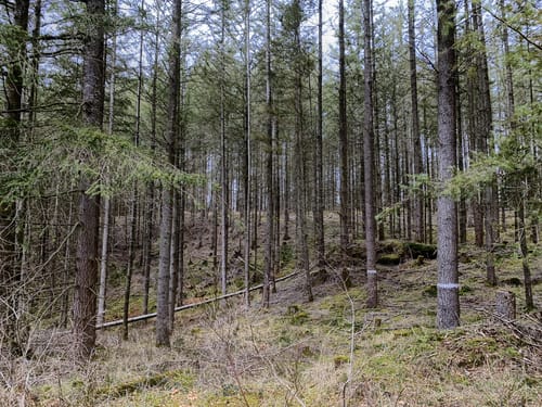 Wasgau Seen Tour (Premiumwanderweg)
