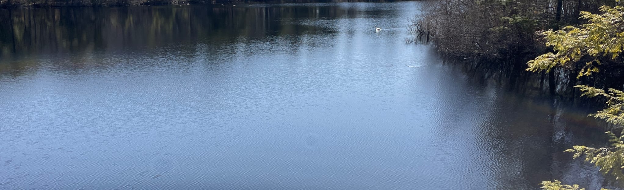 Aaron River Reservoir and Heron Pond Loop Map, Guide Massachusetts
