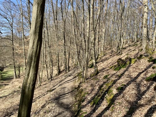 Milchstraße und Galaxienweg