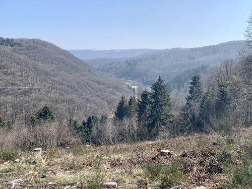 EifelSchleife Effelsberg