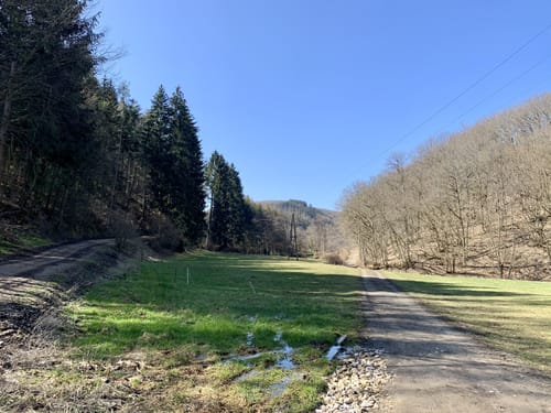 EifelSchleife Effelsberg