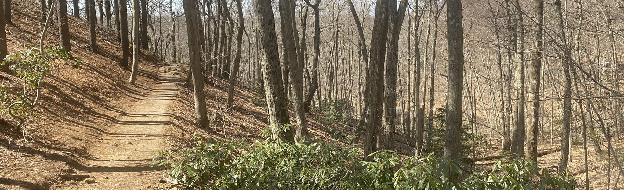 Cold Spring Harbor Uplands Farm Sanctuary 269 Reviews, Map New York