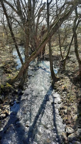 Von Großholbach nach Girod