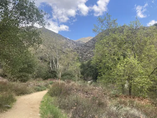 10 Best Trails and Hikes in Sierra Madre | AllTrails