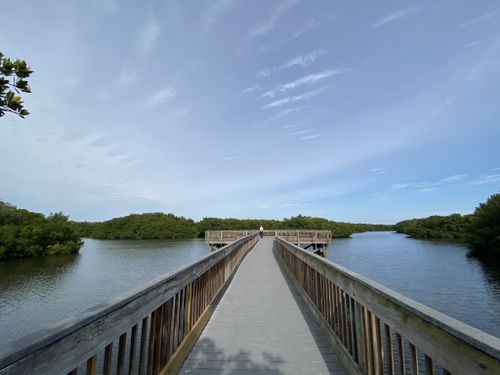 2023 Best 10 Trails and Hikes in St. Petersburg | AllTrails