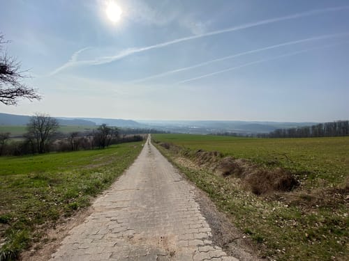 Rund um Stettfeld