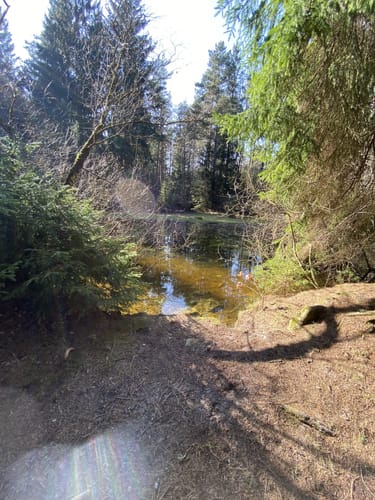 Rundwanderweg Pörlitz