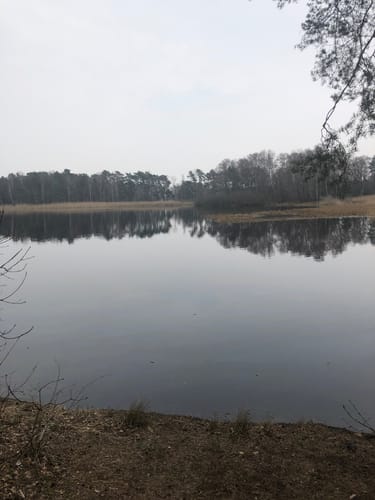 Um den Würmsee