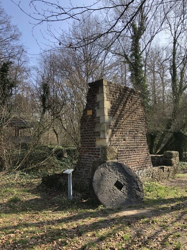 Durch den Tiergarten zum Schloss (Raesfeld A1)