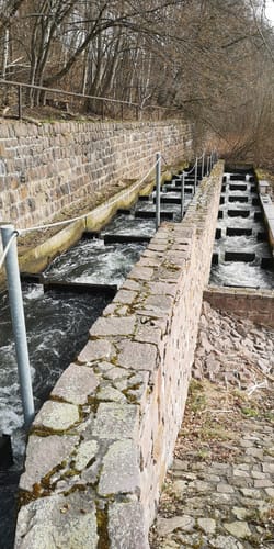 Von Mittweida nach Döbeln