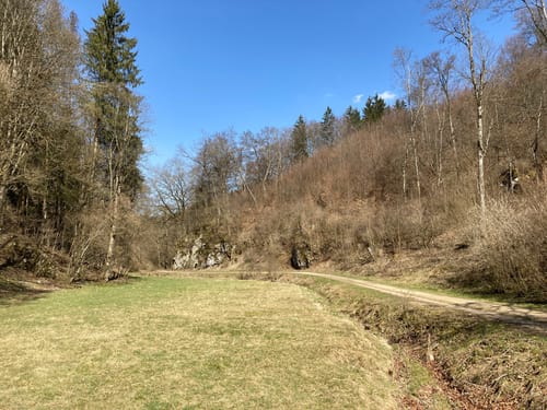 Von Altsteußlingen zur Ruine Briel und nach Dächingen