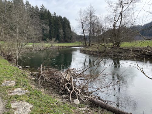 RP10 Vom Neckar ins Albvorland
