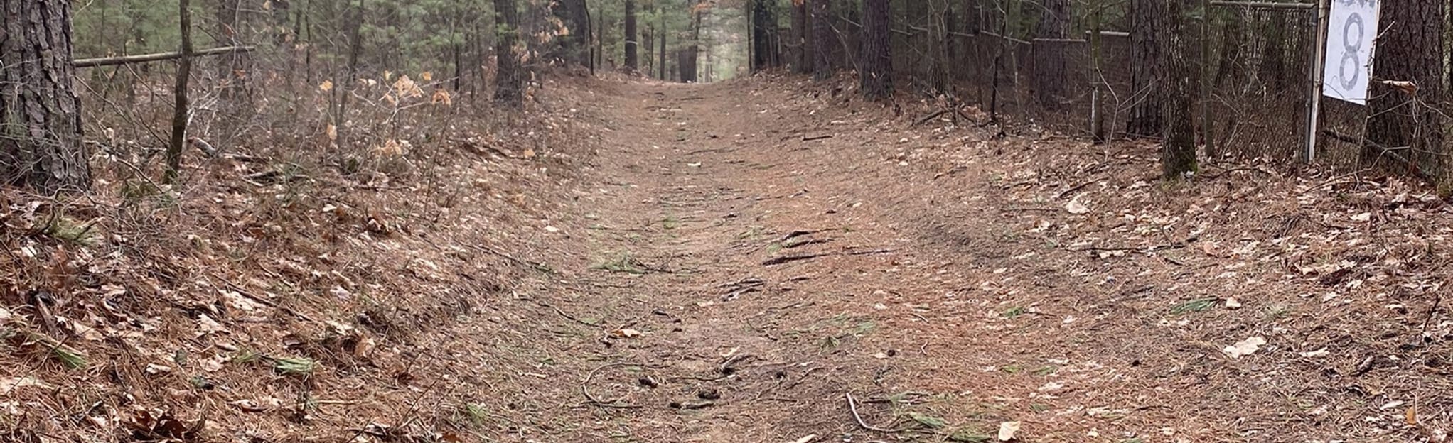 Winding Trails Loop, Connecticut - 52 Reviews, Map | AllTrails