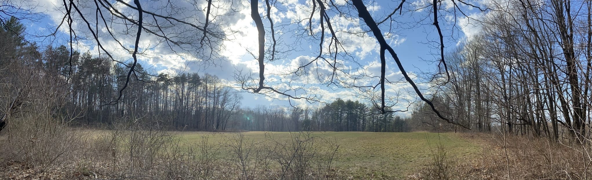 AllTrails Jerry Stage Trail and Shady Brook Trail Loop 191 Reviews