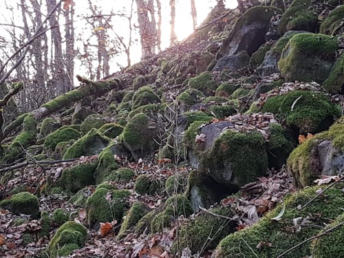 Naturlehrpfad Gangolfsberg