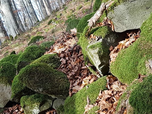 Naturlehrpfad Gangolfsberg