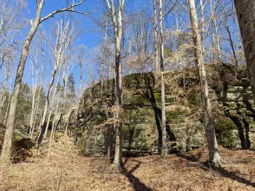 10 Best Horseback Riding Trails In Shawnee National Forest Alltrails