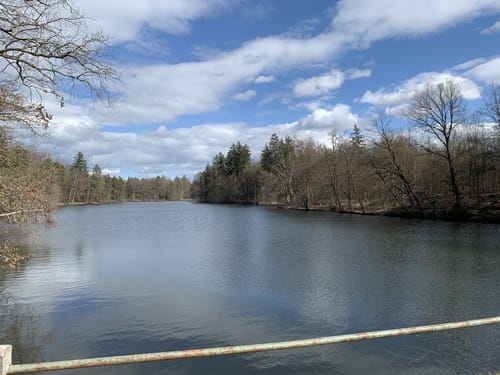 Bärensee Rundweg