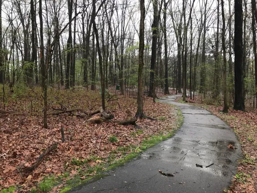 Best Hikes and Trails in Johnson Road Park | AllTrails