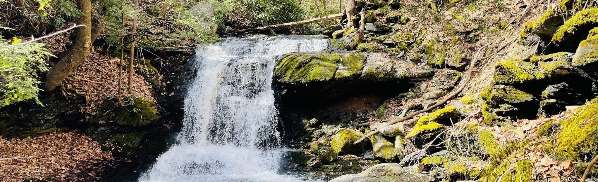 Slateford Creek Falls (Lower Waterfalls), Pennsylvania 294 Reviews