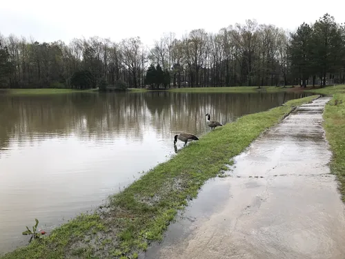 Best Hikes and Trails in Johnson Road Park | AllTrails