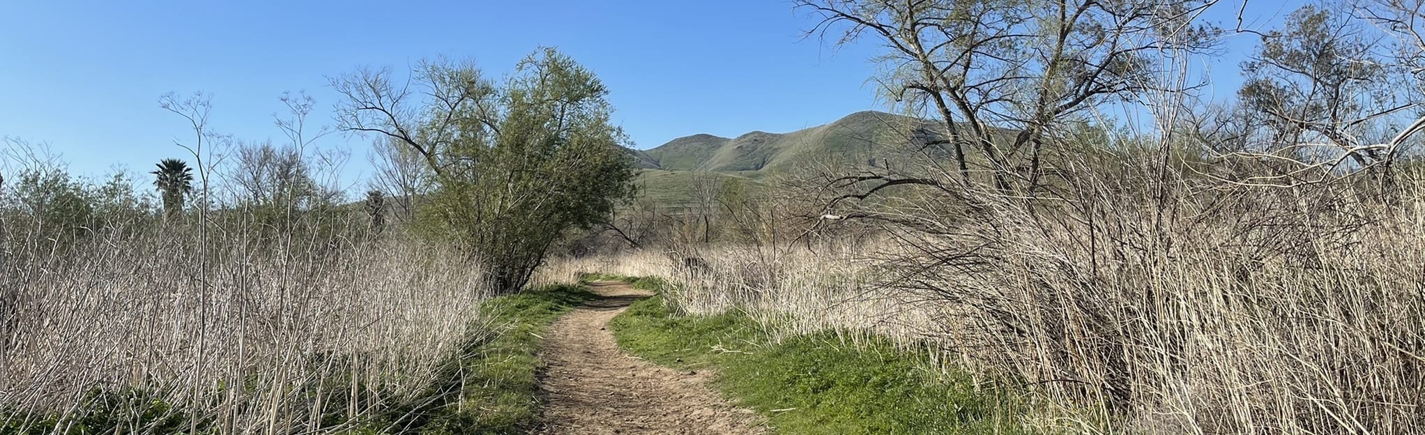 Norco Santa Ana River Piute and - EyJidWNrZXQiOiJhc3NldHMuYWxsdHJhaWxzLmNvbSIsImtleSI6InVwbG9hZHMvcGhvdG8vaW1hZ2UvMzQ4MDAzMDgvNzljMzVmMGYzMWU3YzgxNDhlZDk5MzA3ZDZhMzE1M2IuanBnIiwiZWRpdHMiOnsidG9Gb3JtYXQiOiJqcGVnIiwicmVzaXplIjp7IndpZHRoIjoyMDQ0LCJoZWlnaHQiOjYyNCwiZml0IjoiY292ZXIifSwicm90YXRlIjpudWxsLCJqcGVnIjp7InRyZWxsaXNRdWFudGlzYXRpb24iOnRydWUsIm92ZXJzaG9vdERlcmluZ2luZyI6dHJ1ZSwib3B0aW1pc2VTY2FucyI6dHJ1ZSwicXVhbnRpc2F0aW9uVGFibGUiOjN9fX0=