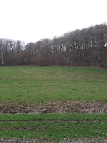 Gentingen (Naturpark Südeifel Wanderweg Nr. 83)