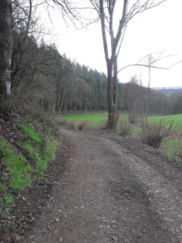Gentingen (Naturpark Südeifel Wanderweg Nr. 83)