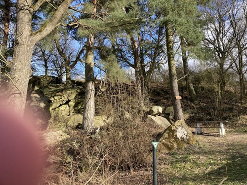 Homberg (Ohm) Runde