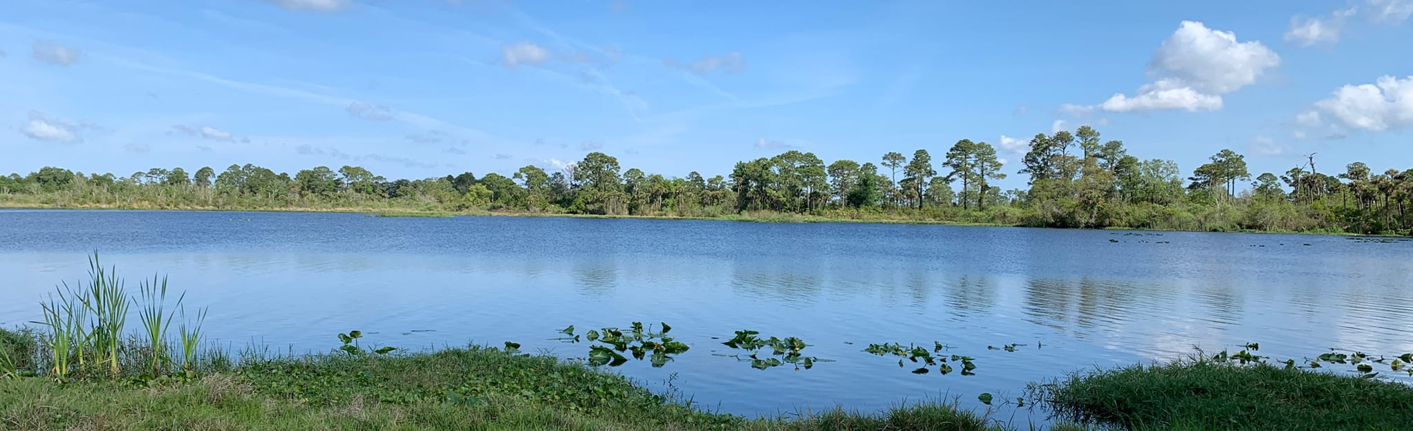 Fox Lake Paddle Route 2 Reviews, Map Florida AllTrails