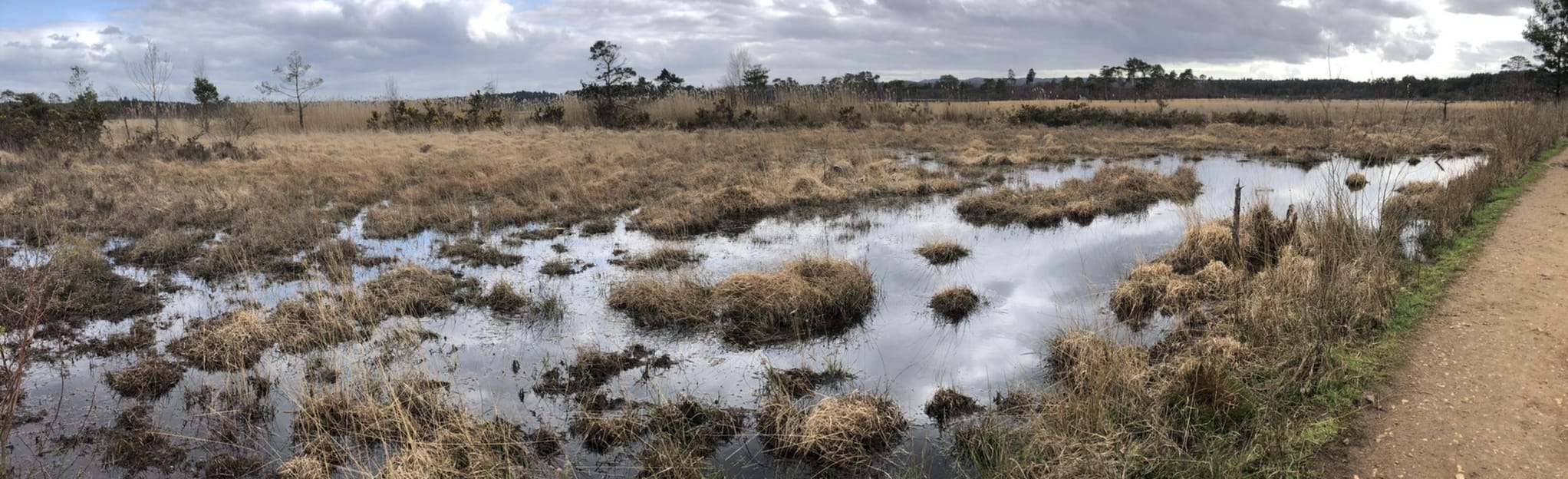 Elstead Common 102 Reviews, Map Surrey, England AllTrails