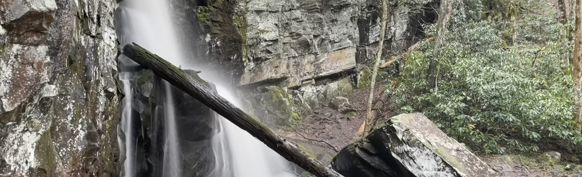Baskins Creek Falls via Grapeyard Ridge Trailhead: 537 Reviews, Map ...