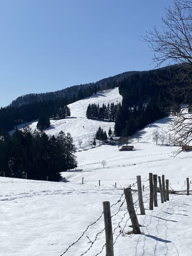 Strehtrumpf zu Hefteralm
