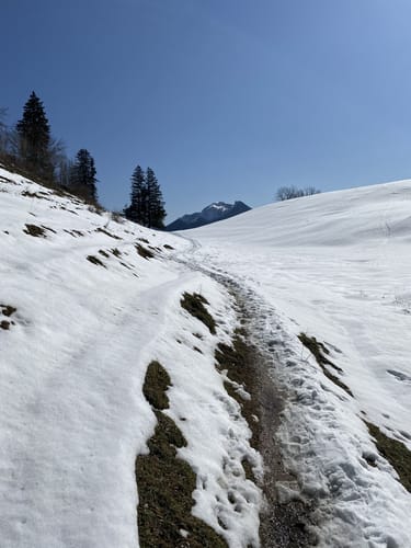 Strehtrumpf zu Hefteralm
