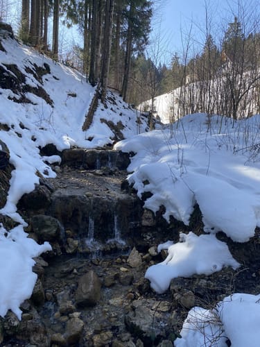 Strehtrumpf zu Hefteralm