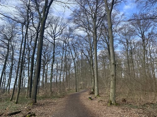 Eifeltraum (Traumpfädchen)