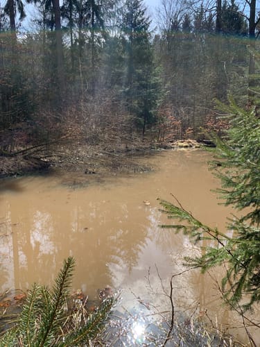 Aus Altershausen um den Rossberg
