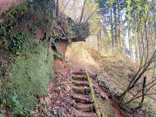 Idesbachpfad (Premiumwanderweg)