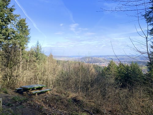 Idesbachpfad (Premiumwanderweg)