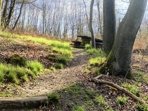 Idesbachpfad (Premiumwanderweg)