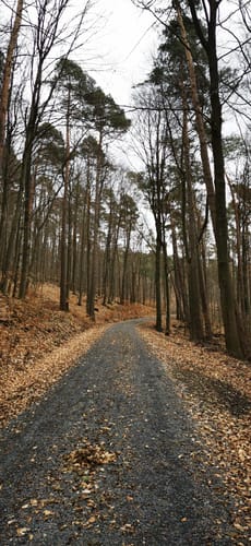 Runde bei Grebenau