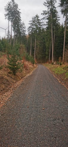 Runde bei Grebenau