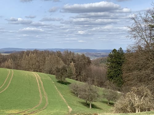 Johannesberg nach Steinbach über dem Langenberg