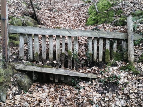 Rundweg Saufang
